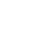 s11_icon1