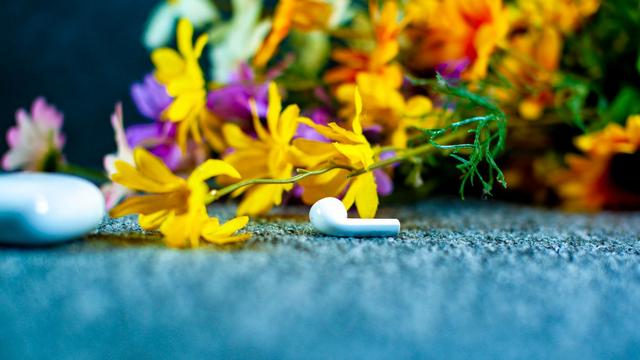 UGREEN��˹��-��רҵ�����ĵ�����Ʒ��